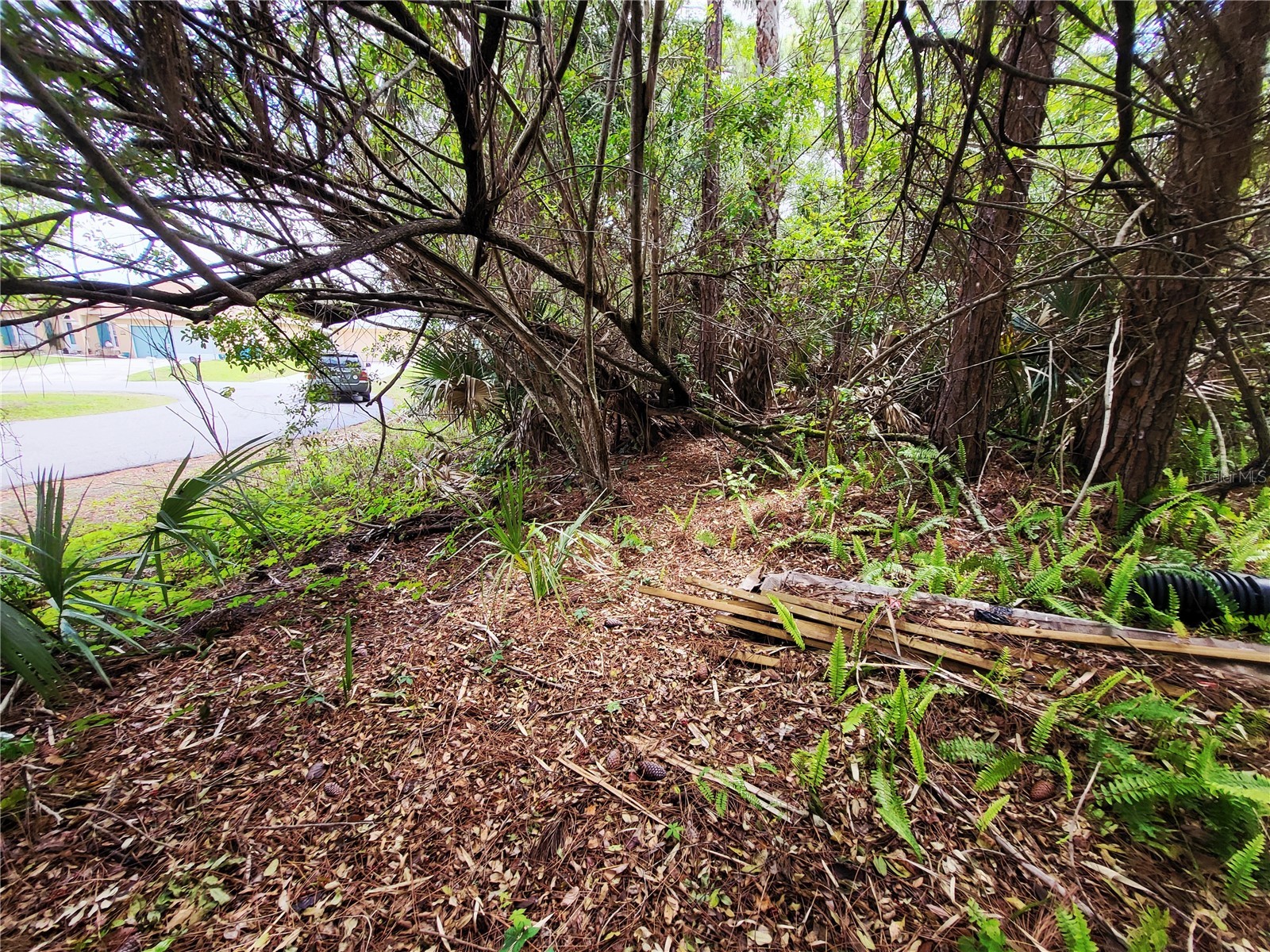 1720 Lantana Court NW Palm Bay FL 32907 S5146923 image3