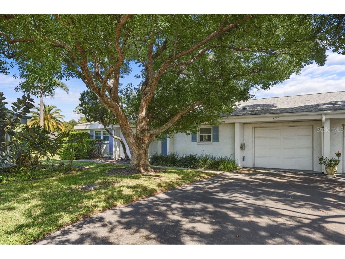 1720 Palmer Court Palm Harbor FL 34685 U8218279 image1