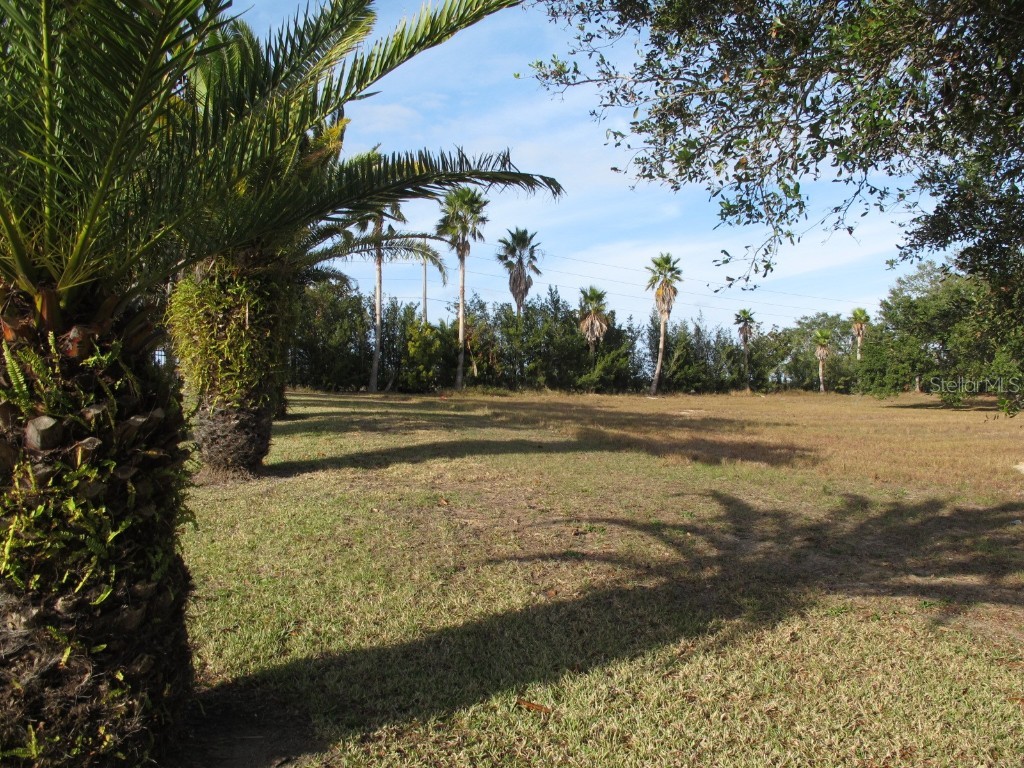 17200 Royal Palm Drive Groveland FL 34736 G5090442 image4