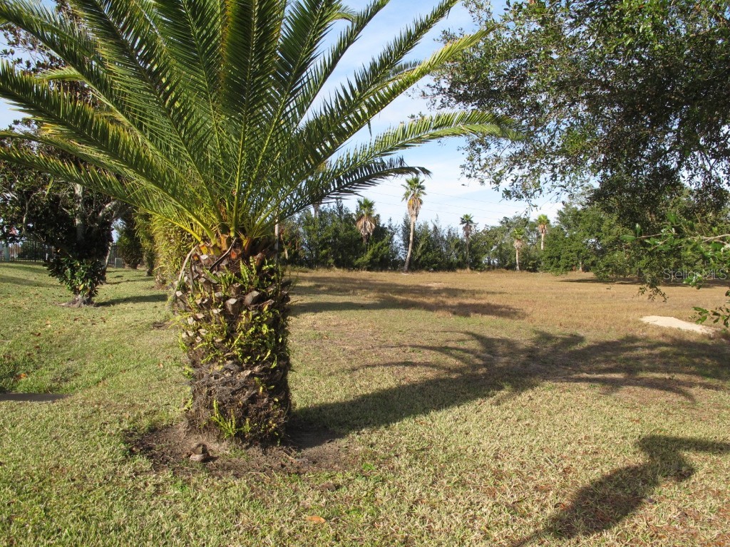 17200 Royal Palm Drive Groveland FL 34736 G5090442 image5