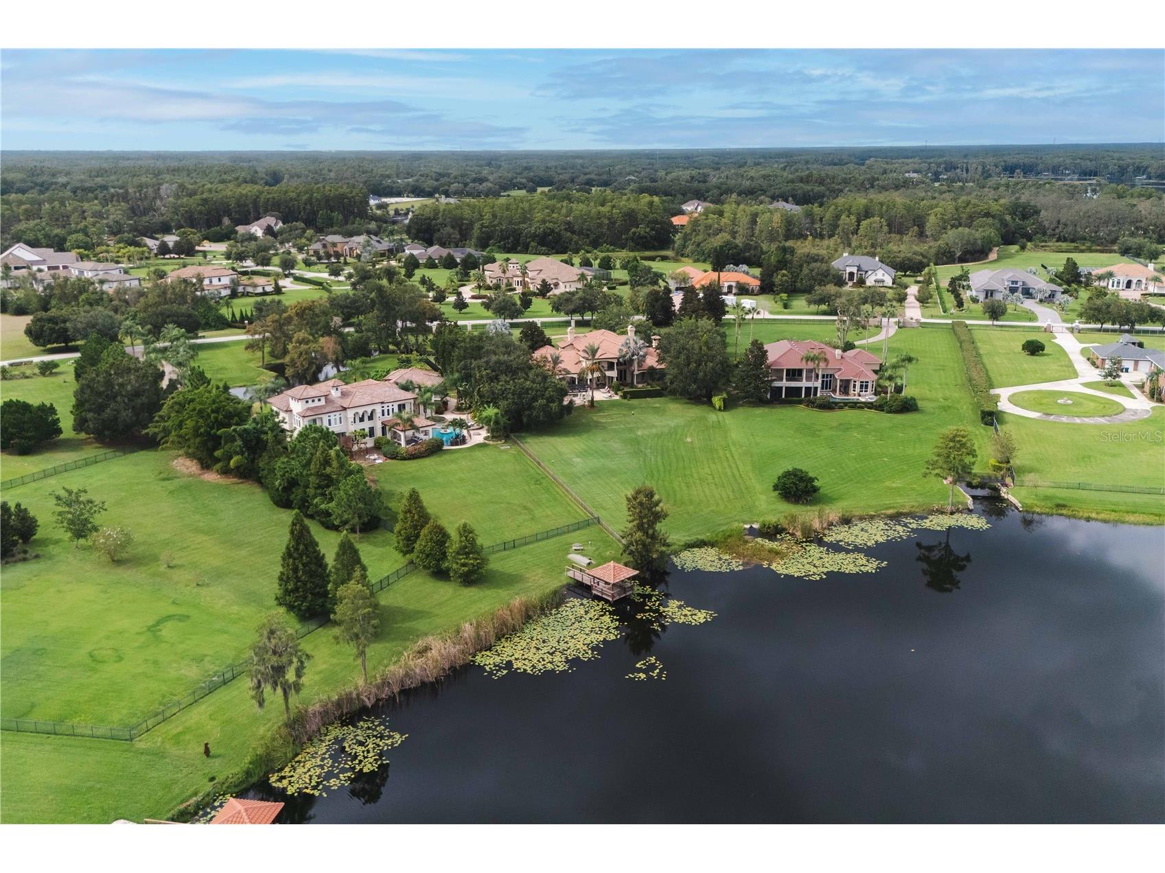 17201 Breeders Cup Drive Odessa FL 33556 - LAKE VELBURTON TB8425808 image70