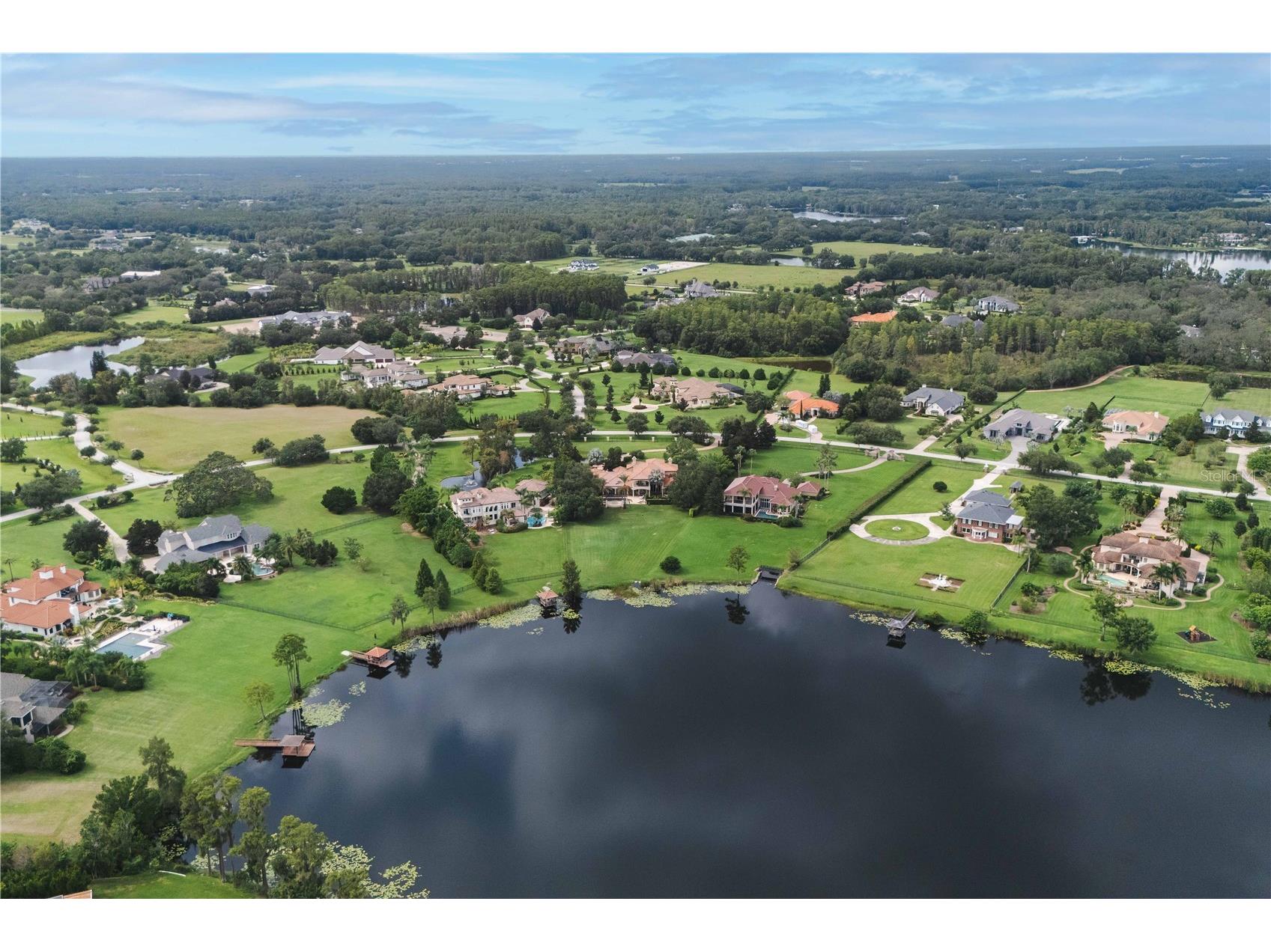 17201 Breeders Cup Drive Odessa FL 33556 - LAKE VELBURTON TB8425808 image71