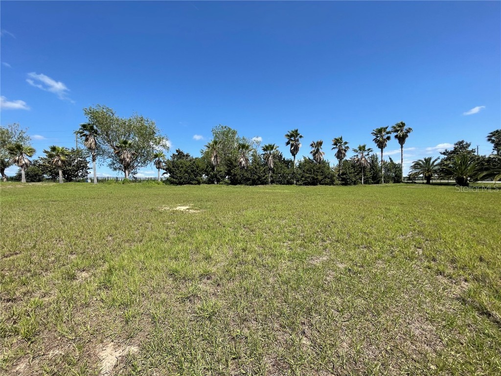 17201 Lot 71 Royal Palm Drive Groveland FL 34736 G5053434 image1