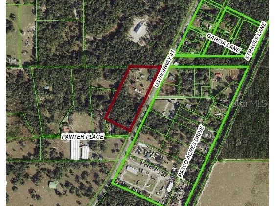 17201 Us Highway 41 Spring Hill FL 34610 U8247407 image2
