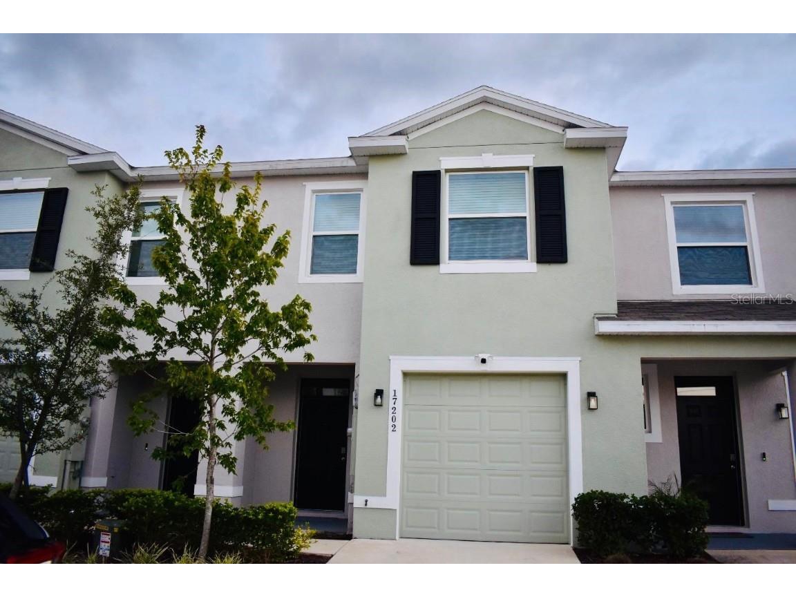 17202 Amber Aspen Way Land O Lakes FL 34638 TB8435273 image1