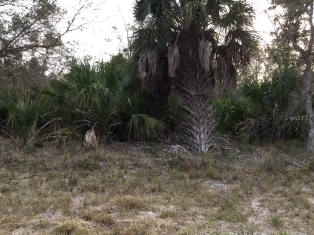 17203 Chase Avenue Port Charlotte FL 33948 C7488093 image1