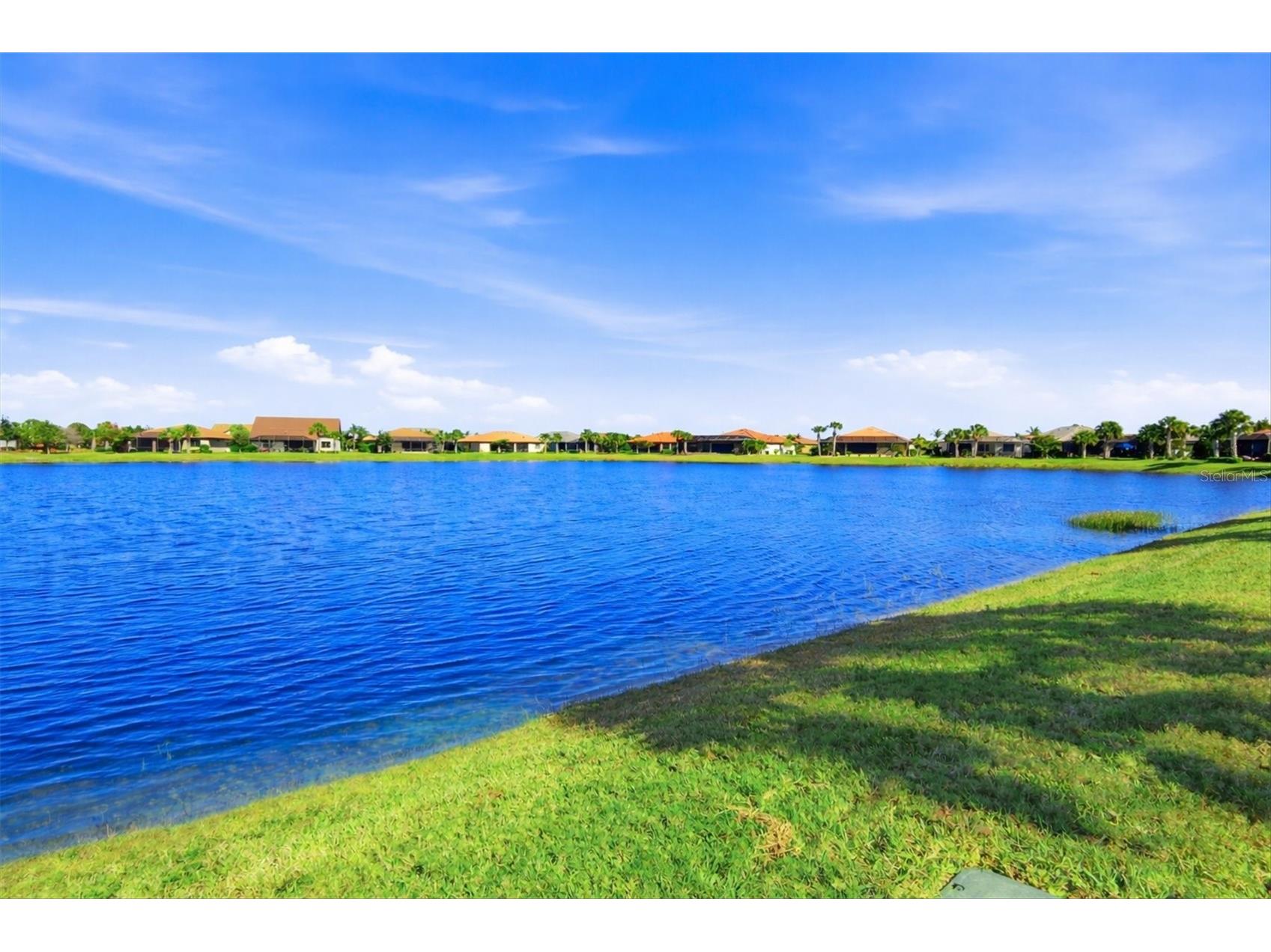 17203 Corinna Place Lakewood Ranch FL 34202 A4680421 image43