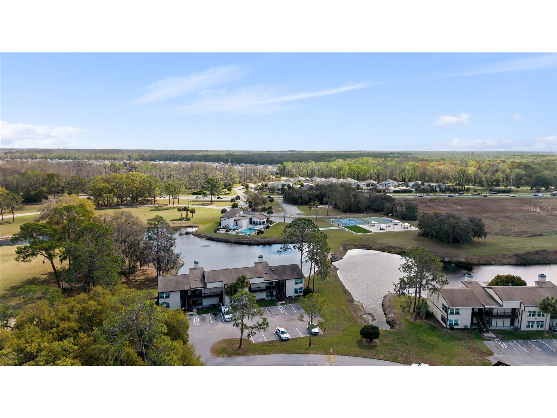 17203 Sandalwood Drive Wildwood FL 34785 G5111770 image1