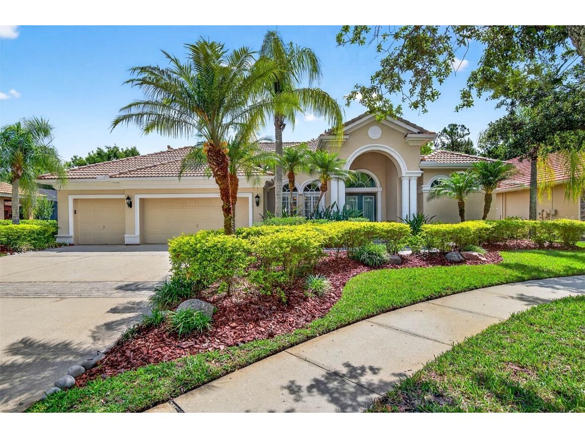 17203 Talence Court Tampa FL 33647 TB8393879 image1