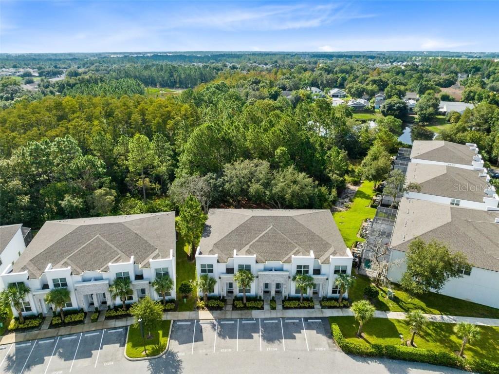 17204 Blessing Drive Clermont FL 34714 O6247042 image27