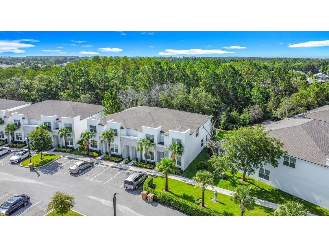 17204 Blessing Drive Clermont FL 34714 O6327194 image1