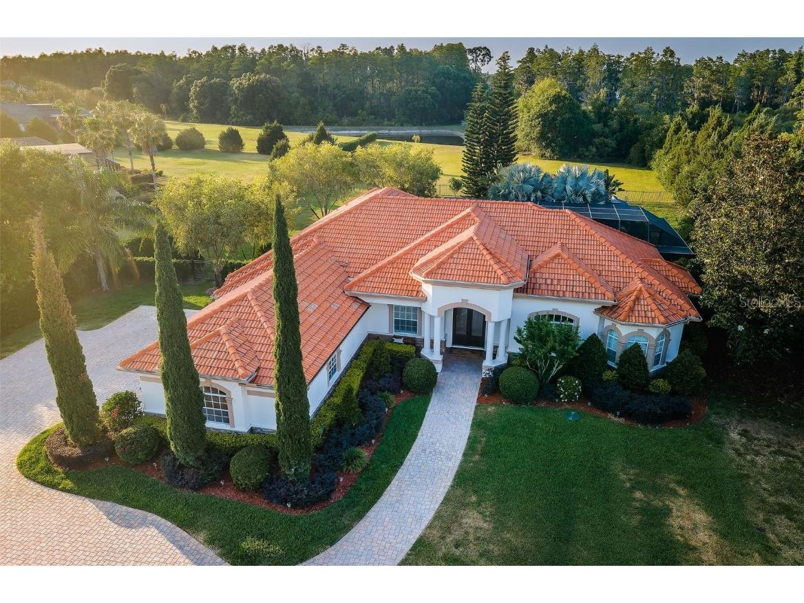 17204 Breeders Cup Drive Odessa FL 33556 U8242498 image1