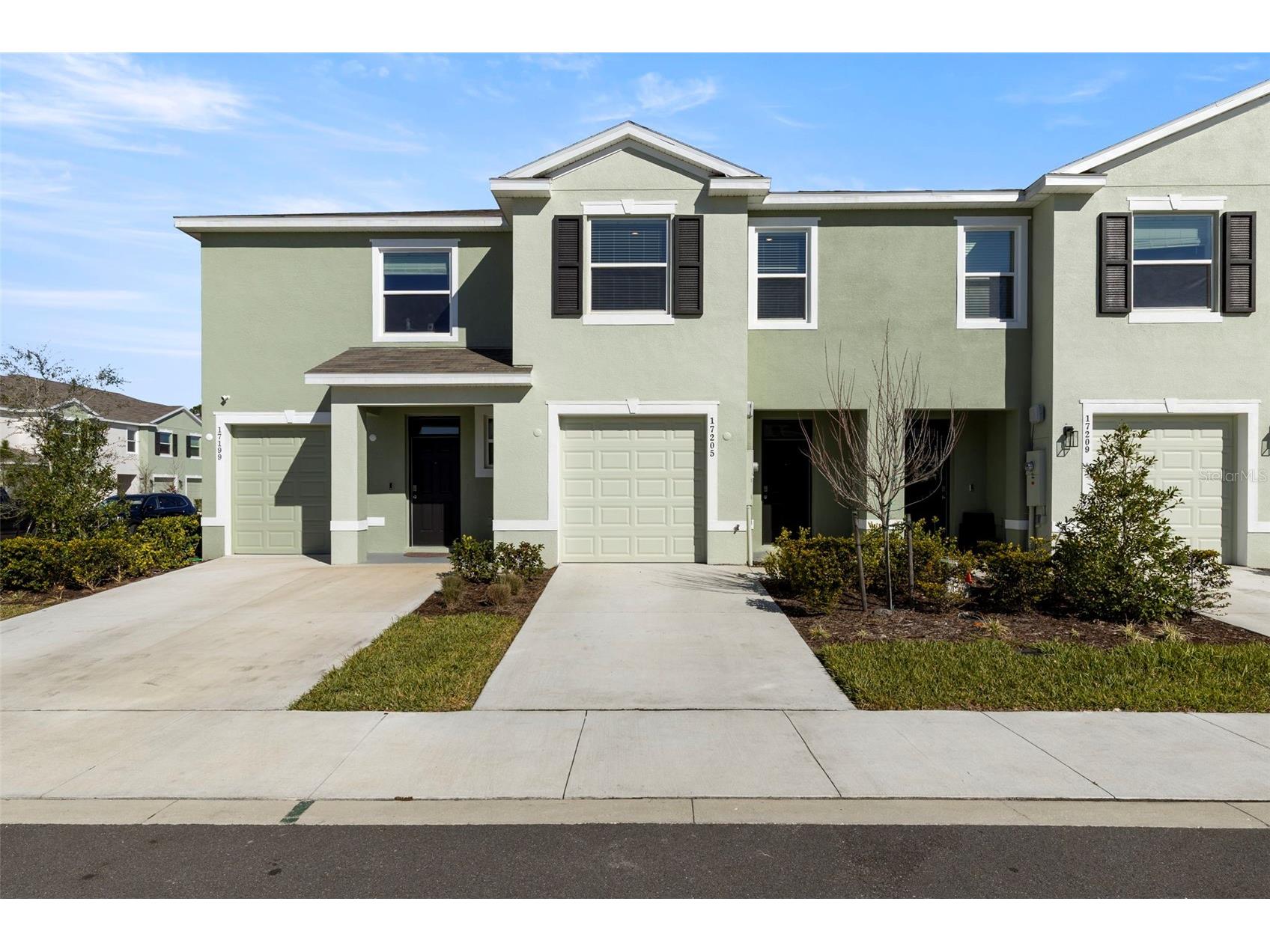 17205 Bigleaf Mahogany Lane Land O Lakes FL 34638 TB8478930 image1