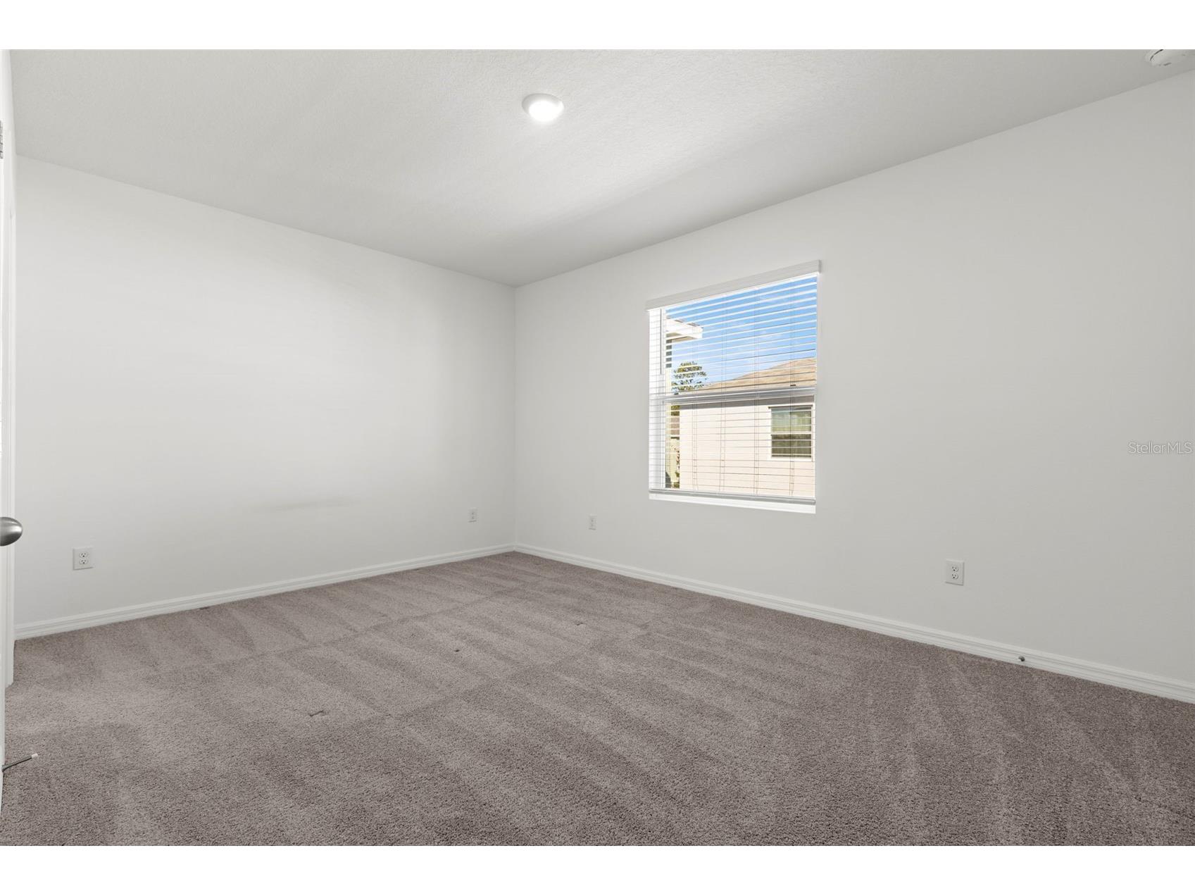 17205 Bigleaf Mahogany Lane Land O Lakes FL 34638 TB8478930 image17