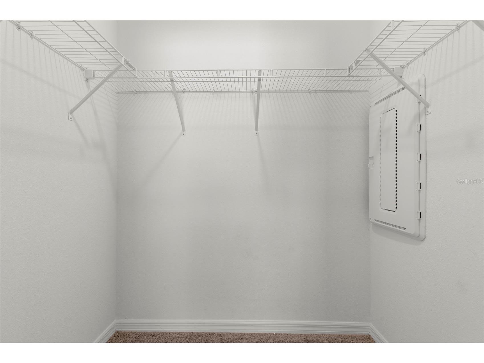 17205 Bigleaf Mahogany Lane Land O Lakes FL 34638 TB8478930 image21