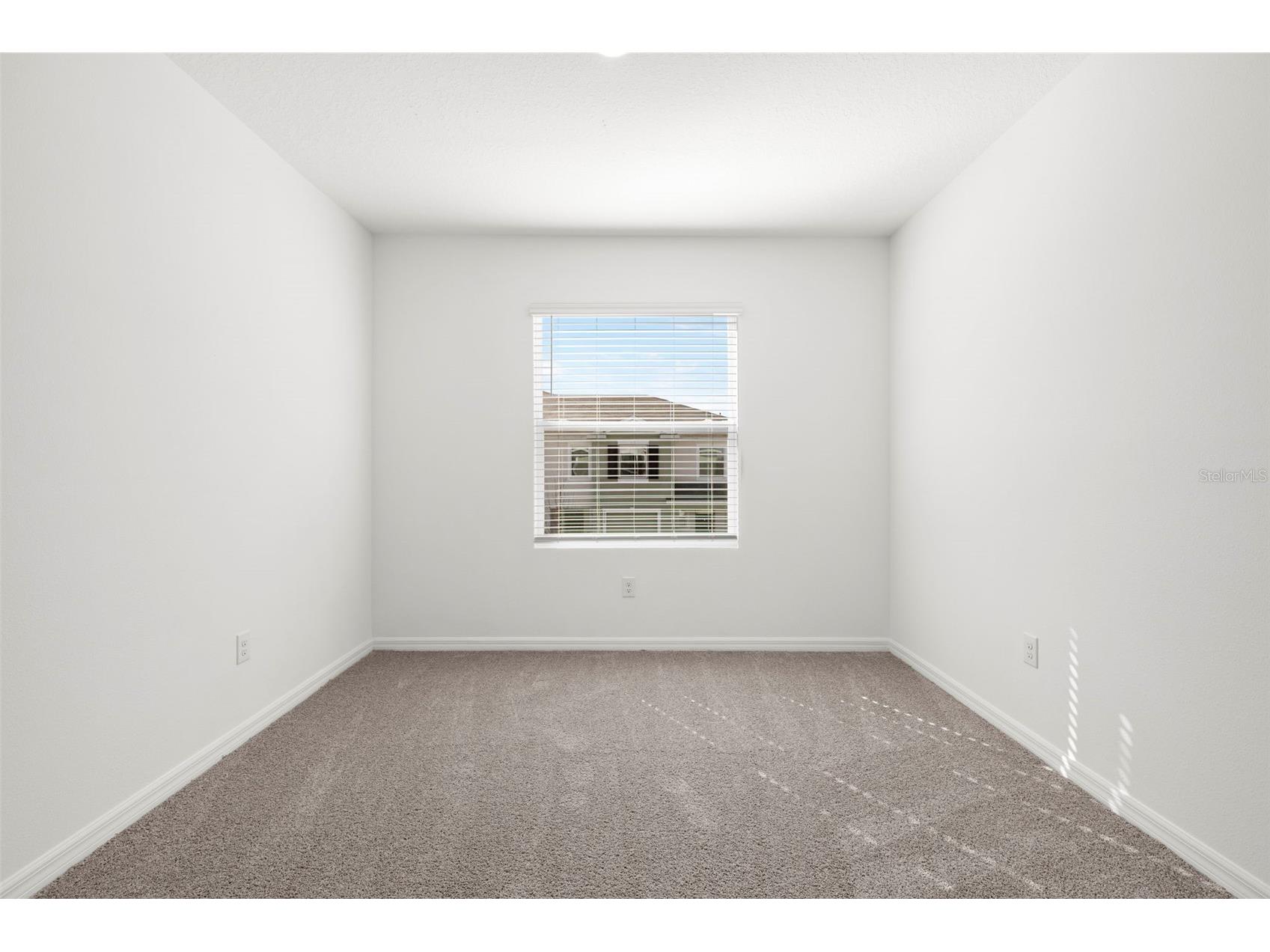 17205 Bigleaf Mahogany Lane Land O Lakes FL 34638 TB8478930 image24