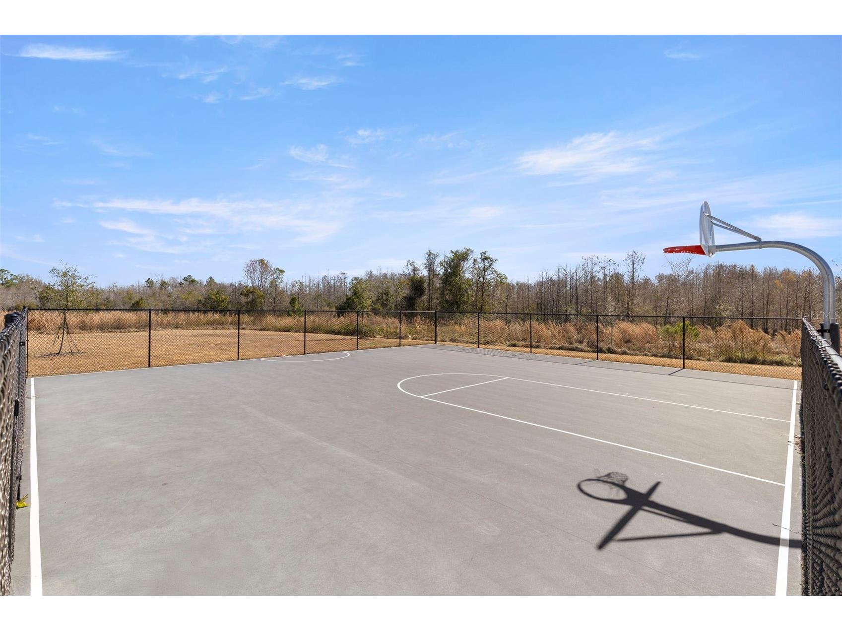17205 Bigleaf Mahogany Lane Land O Lakes FL 34638 TB8478930 image31