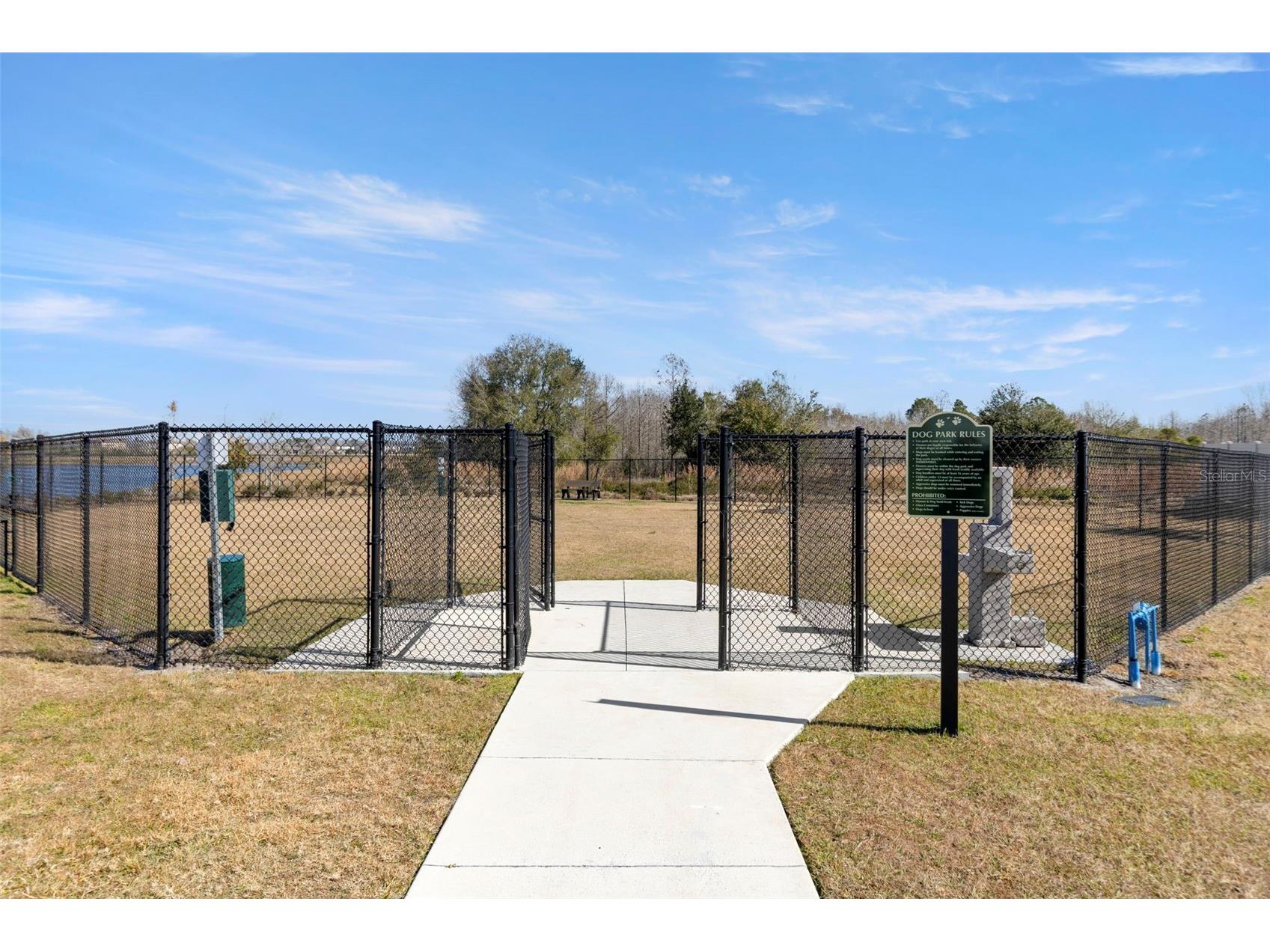 17205 Bigleaf Mahogany Lane Land O Lakes FL 34638 TB8478930 image34