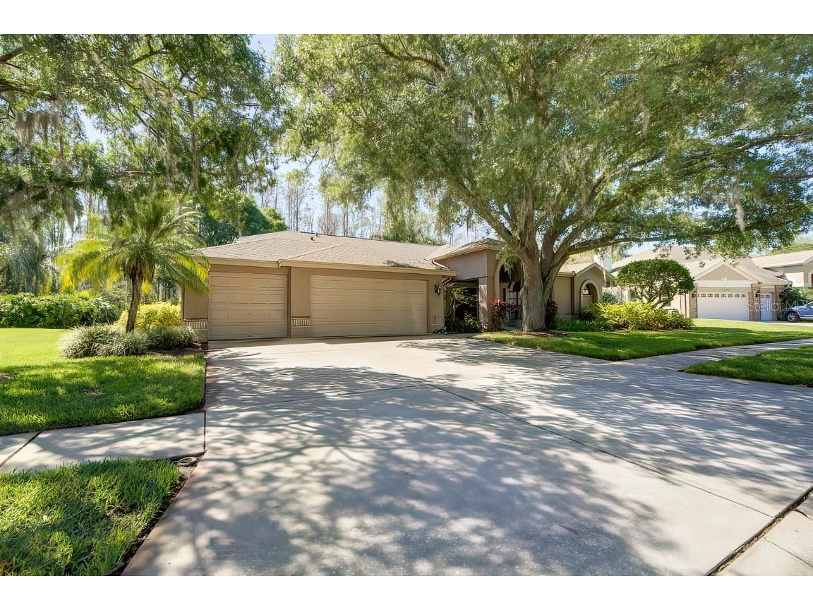 17205 Equestrian Trail Odessa FL 33556 T3434490 image1
