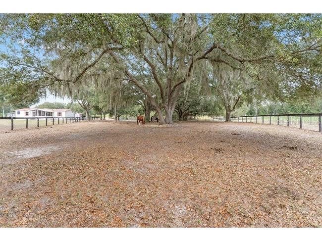 17205 SE 160th Avenue Road Weirsdale FL 32195 G5077248 image1
