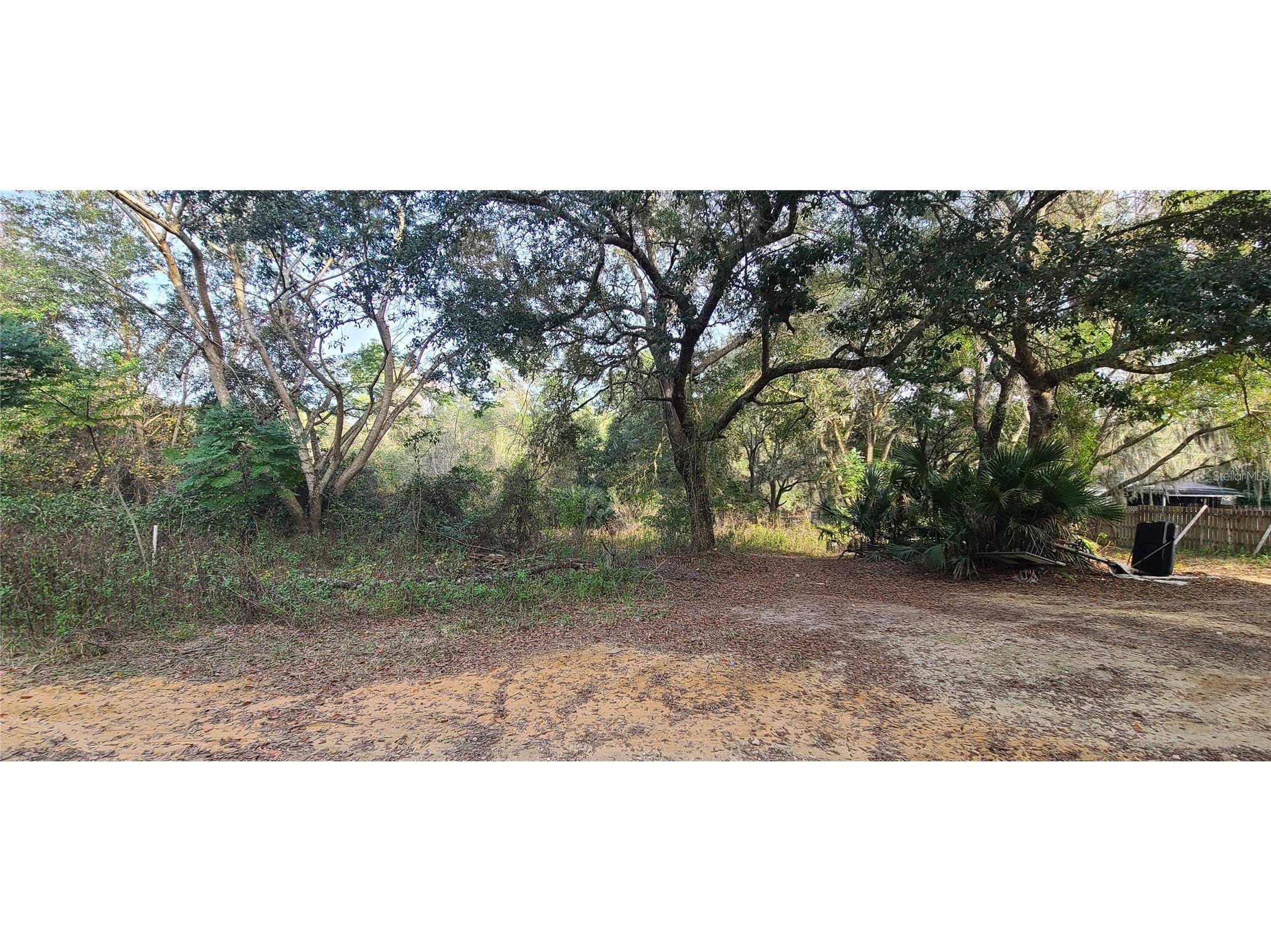 17205 SE 252nd Avenue Umatilla FL 32784 G5114307 image1