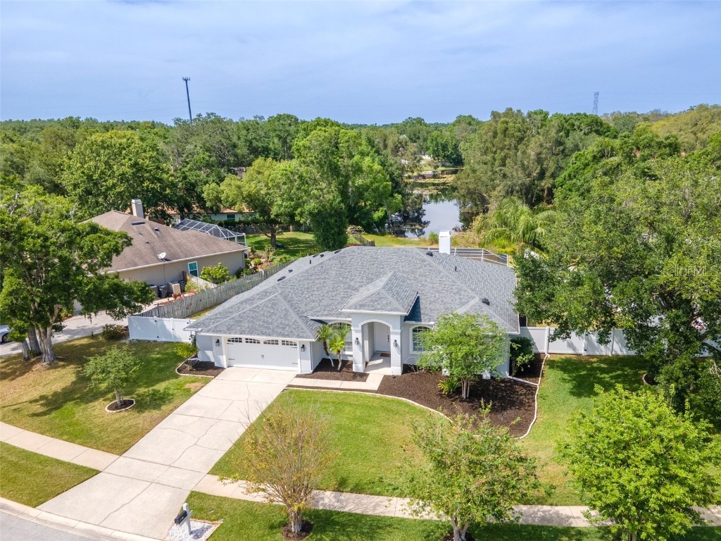 17205 Tiffany Shore Drive Lutz FL 33549 TB8379190 image1