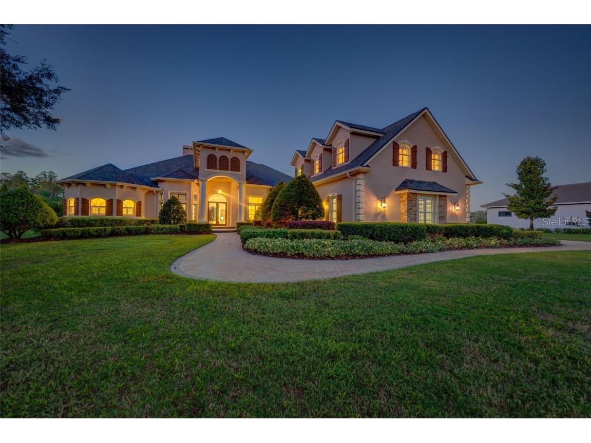 17206 Breeders Cup Drive Odessa FL 33556 U8216808 image1