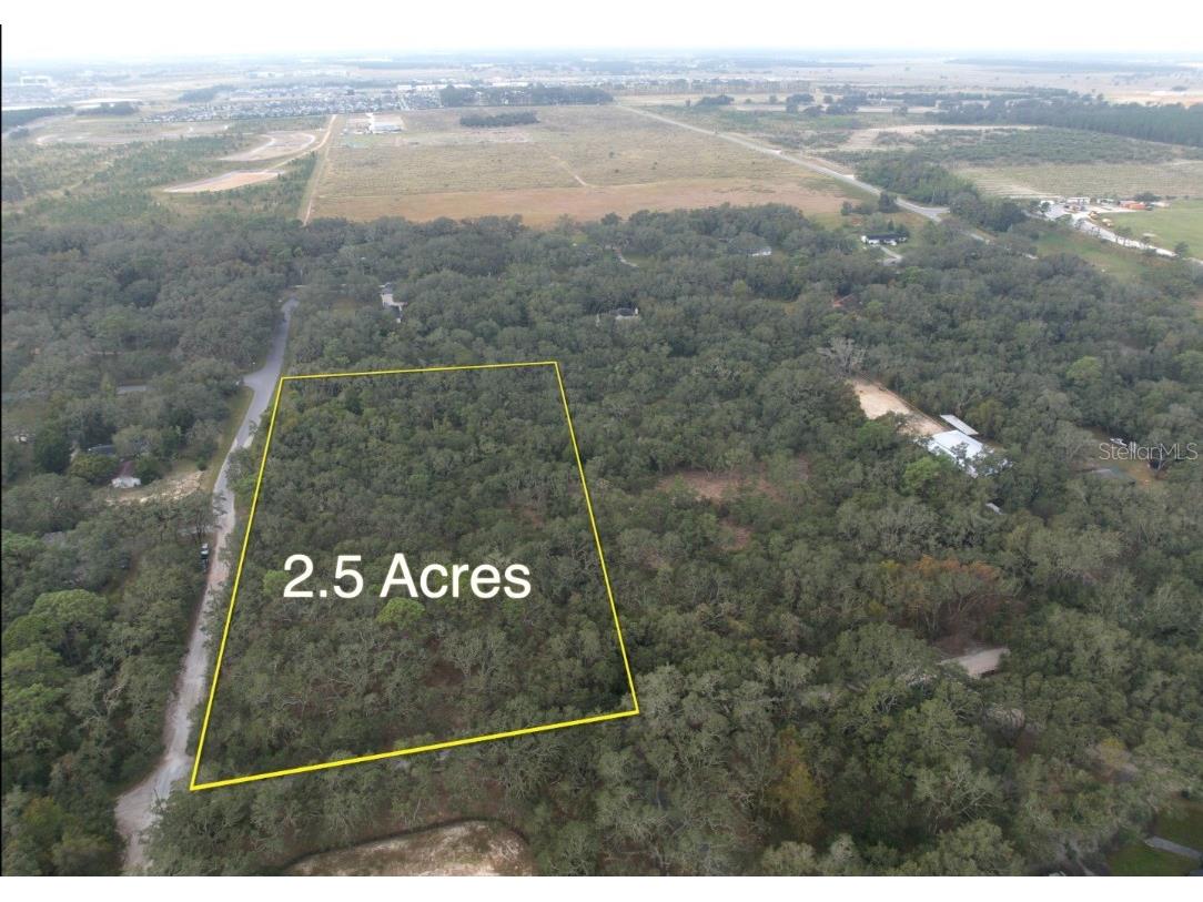 17206 Red Bird Road Winter Garden FL 34787 O6252856 image1