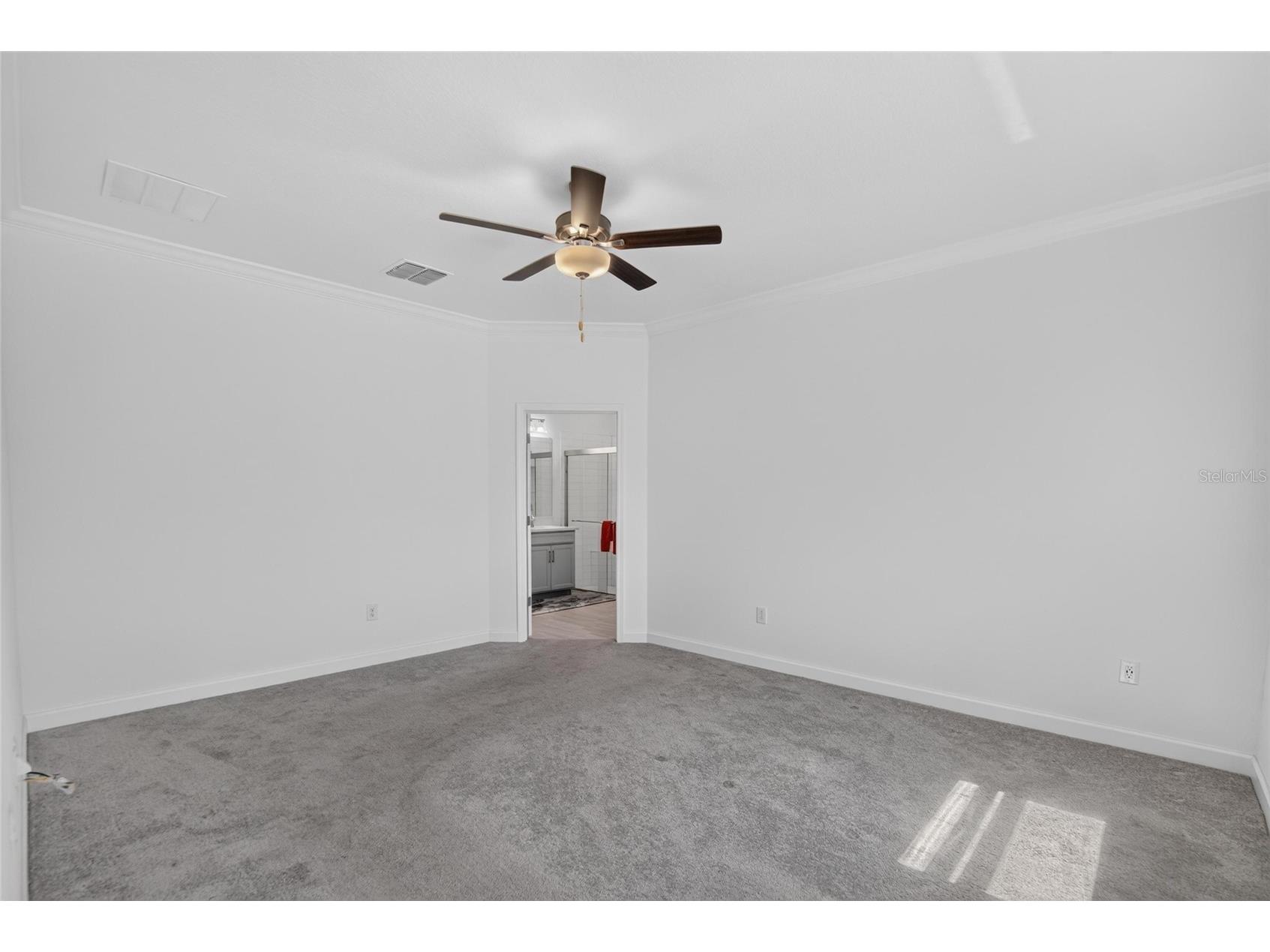 17206 Star Banks Street Wimauma FL 33598 TB8524938 image22