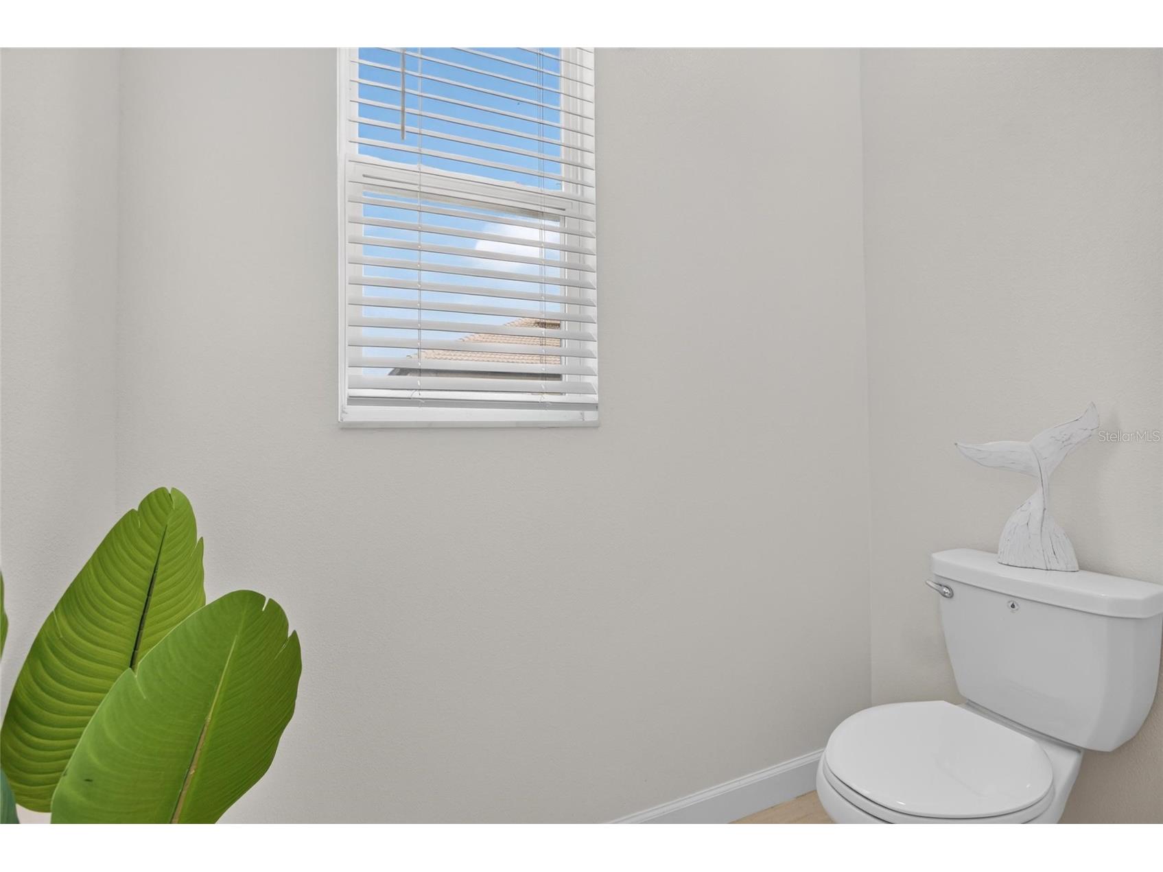 17206 Star Banks Street Wimauma FL 33598 TB8524938 image26