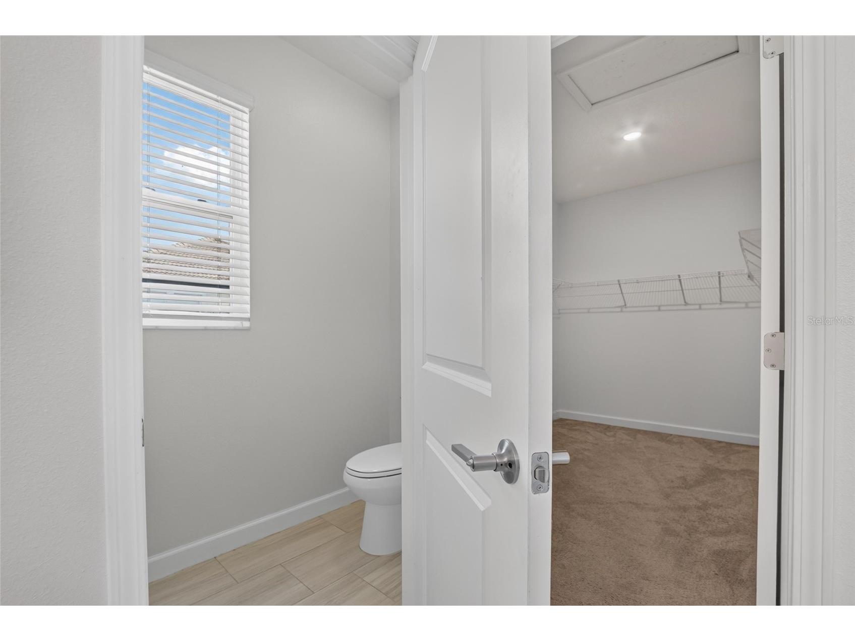 17206 Star Banks Street Wimauma FL 33598 TB8524938 image27