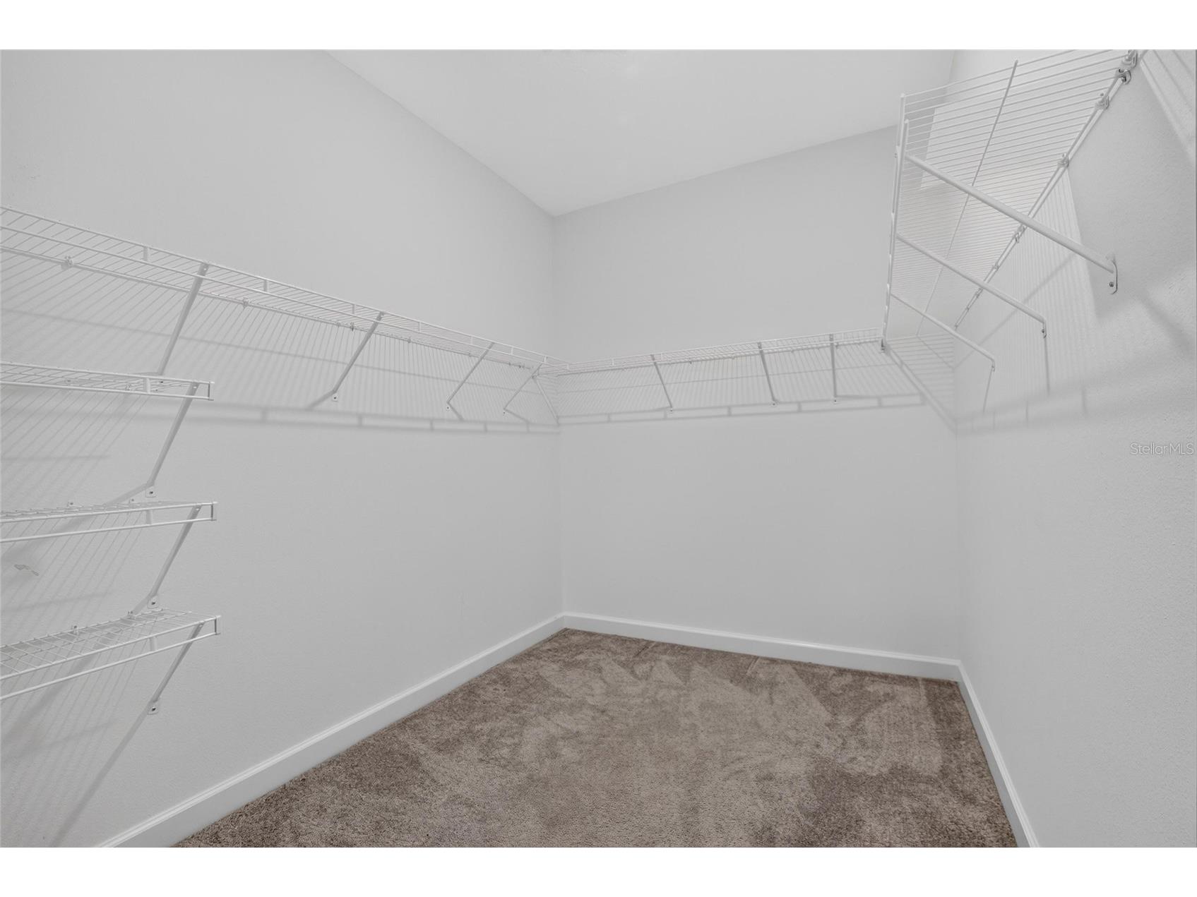 17206 Star Banks Street Wimauma FL 33598 TB8524938 image28