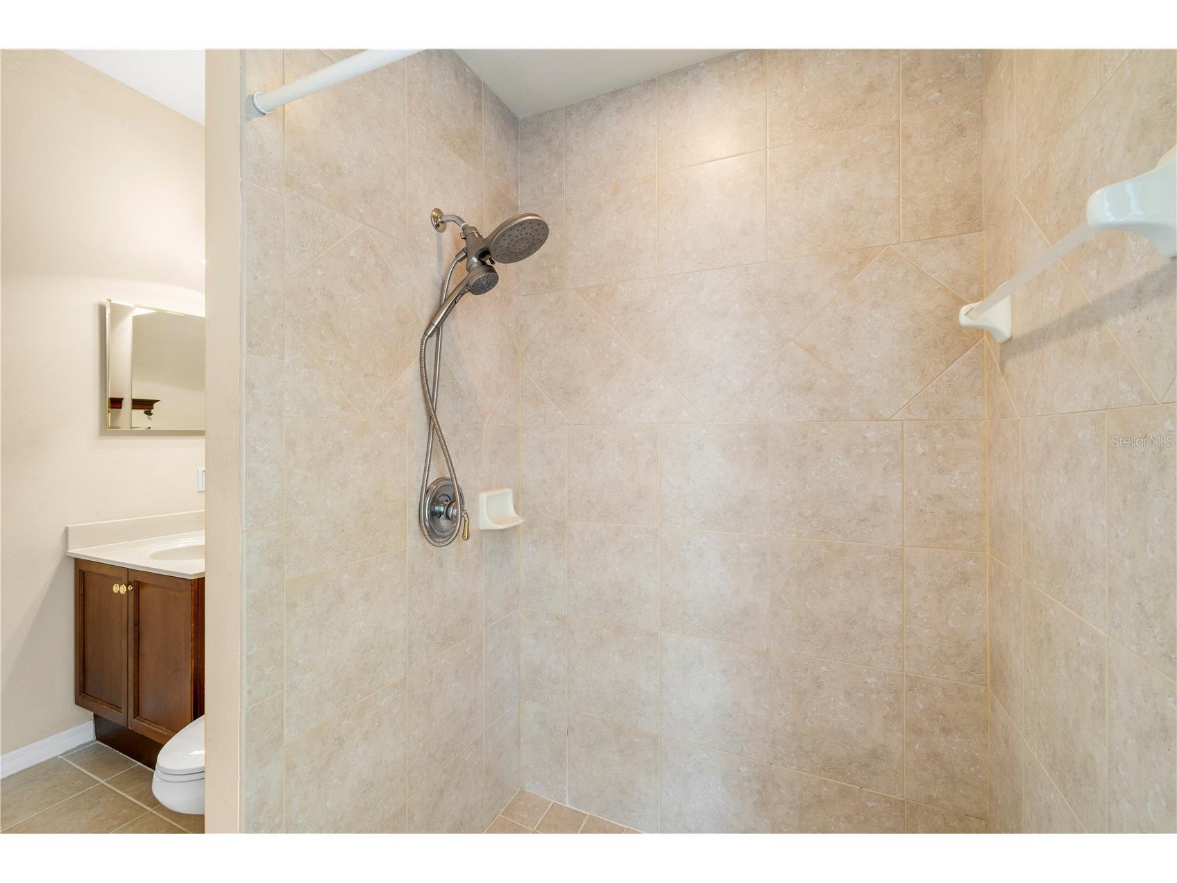 17206 Talence Court Tampa FL 33647 TB8502719 image29