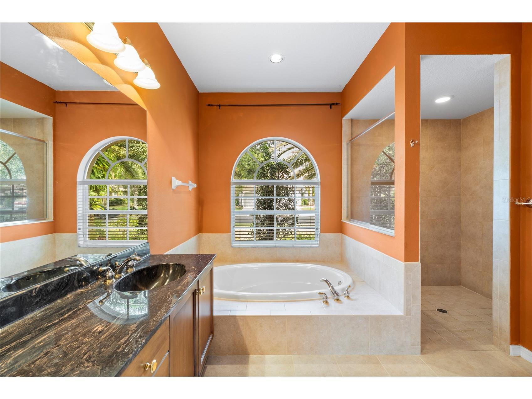 17206 Talence Court Tampa FL 33647 TB8502719 image53