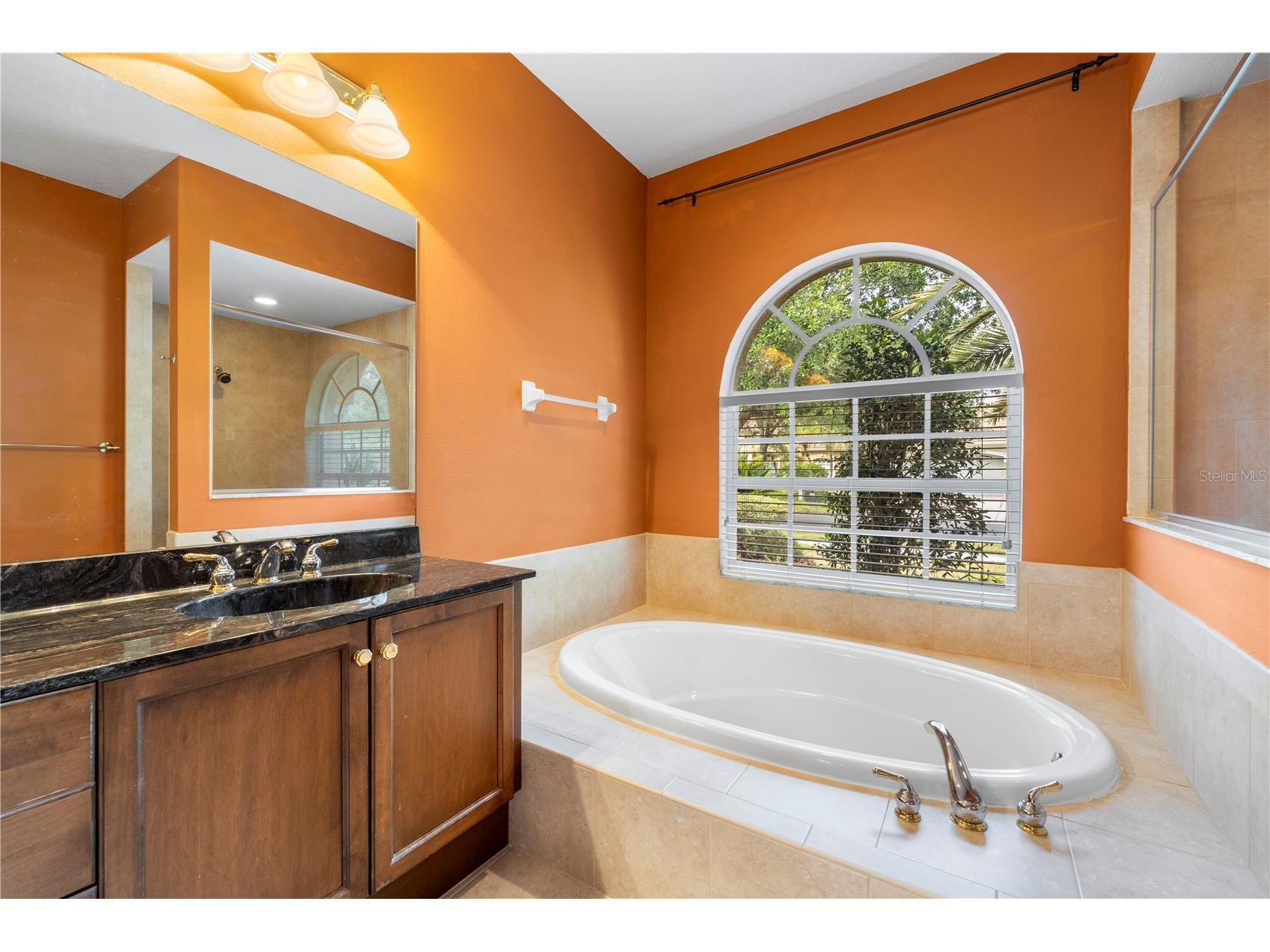 17206 Talence Court Tampa FL 33647 TB8502719 image54