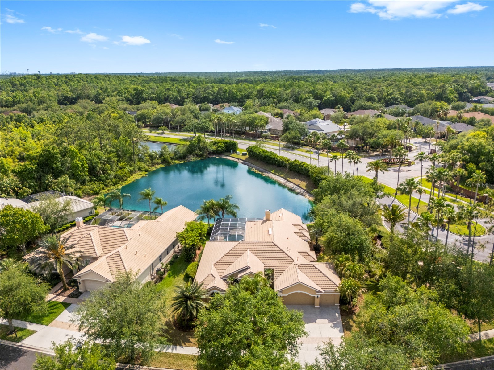 17206 Talence Court Tampa FL 33647 TB8502719 image56