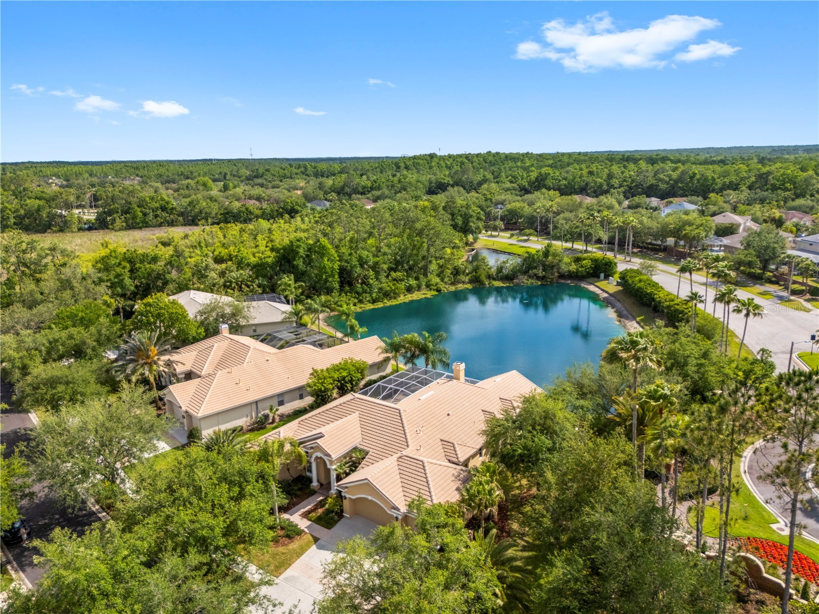 17206 Talence Court Tampa FL 33647 TB8502719 image57