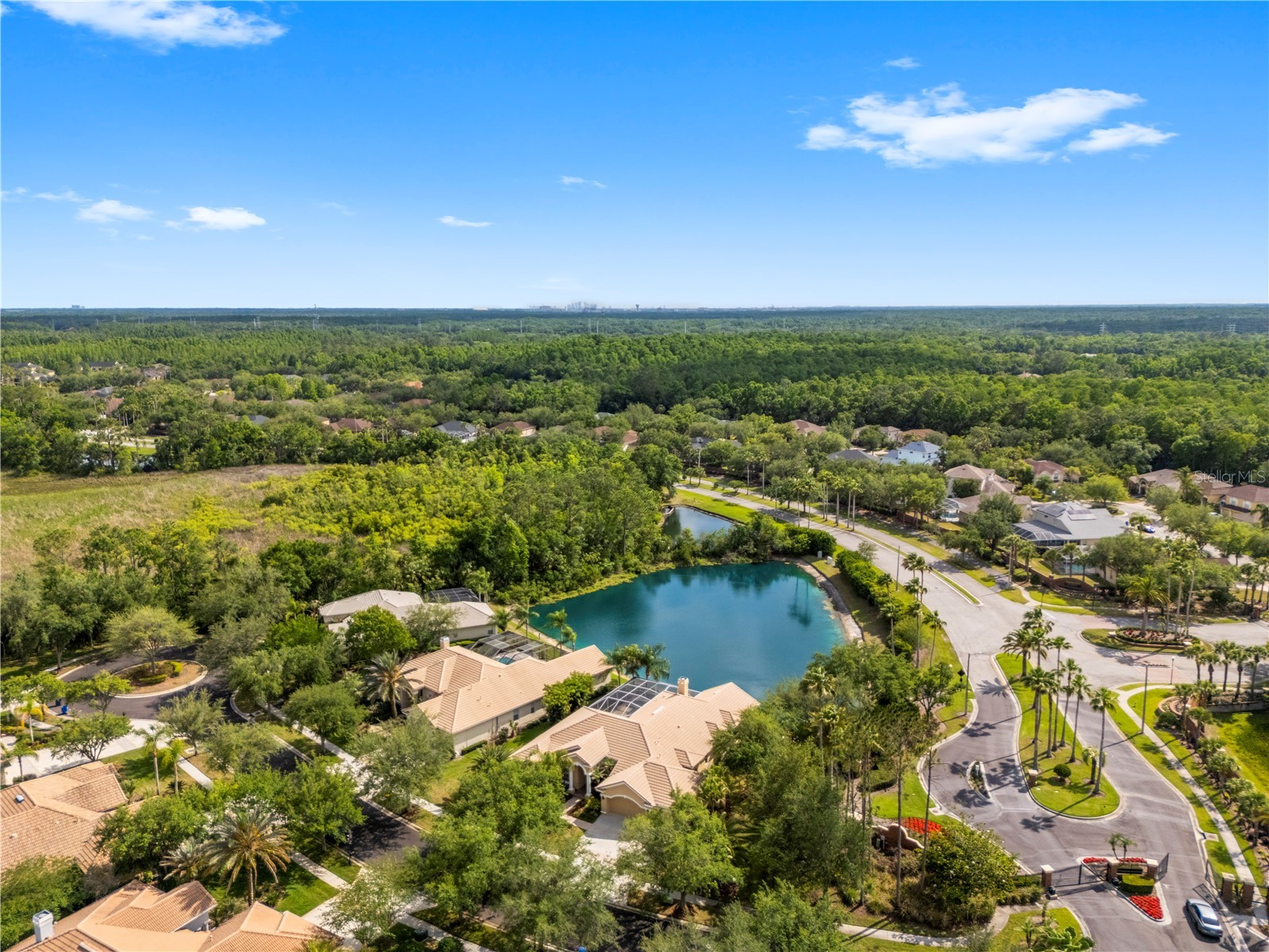 17206 Talence Court Tampa FL 33647 TB8502719 image58
