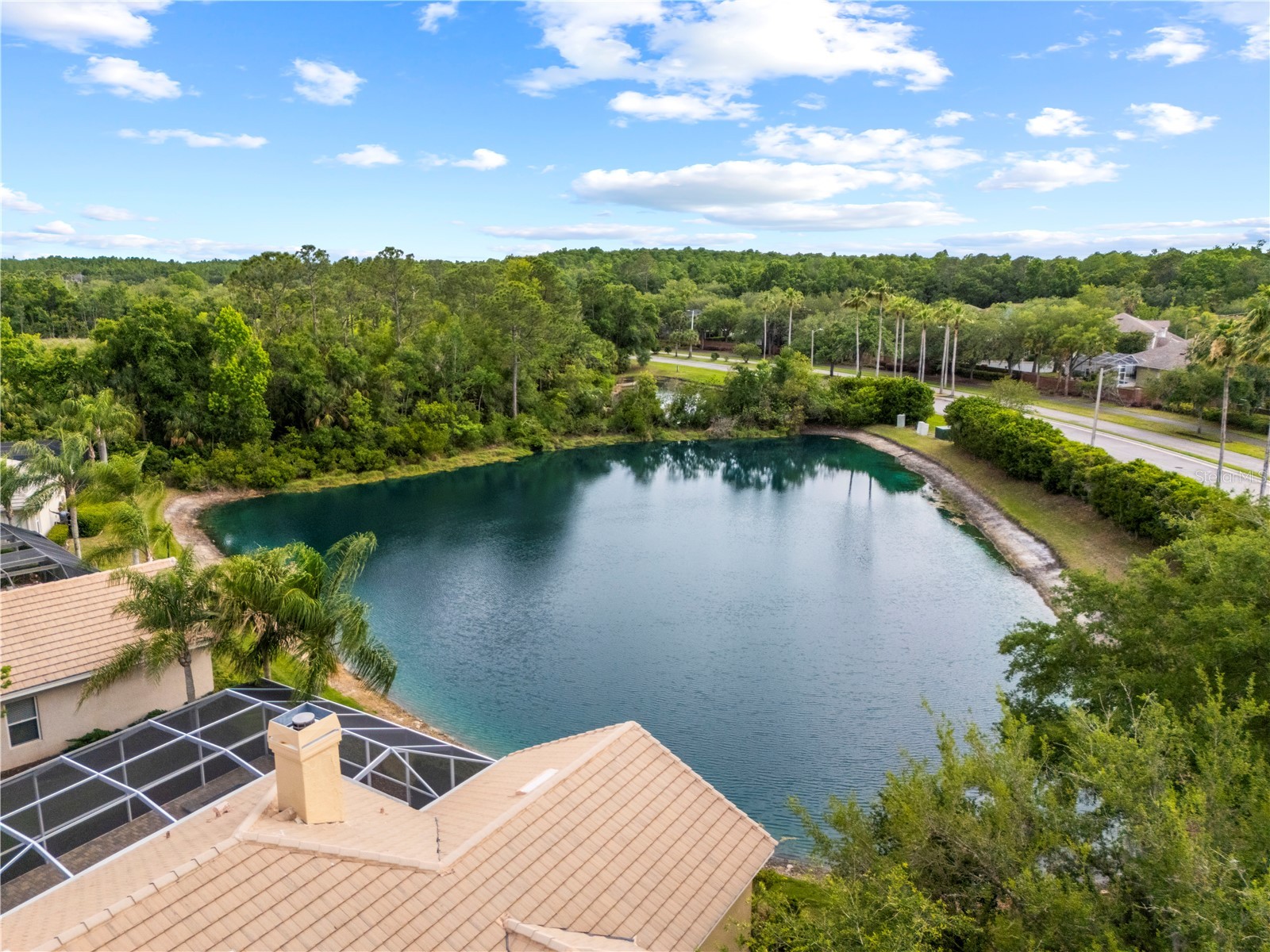 17206 Talence Court Tampa FL 33647 TB8502719 image6