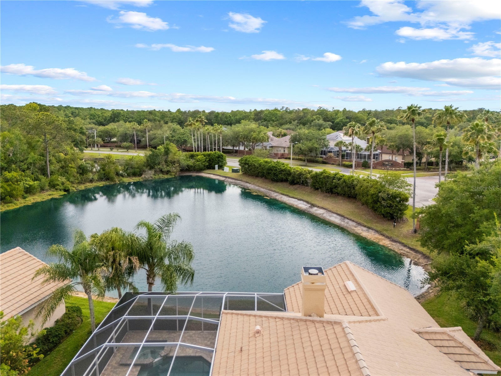 17206 Talence Court Tampa FL 33647 TB8502719 image65