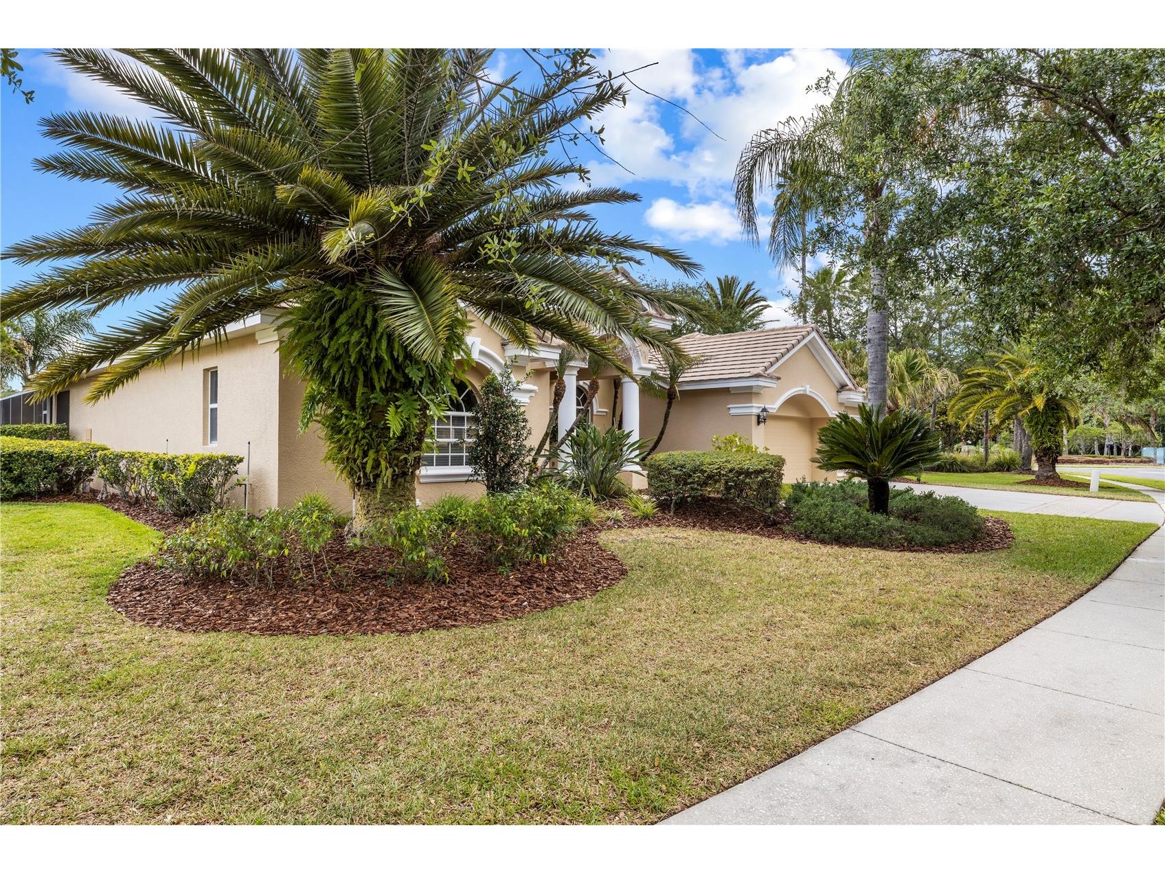 17206 Talence Court Tampa FL 33647 TB8502719 image72
