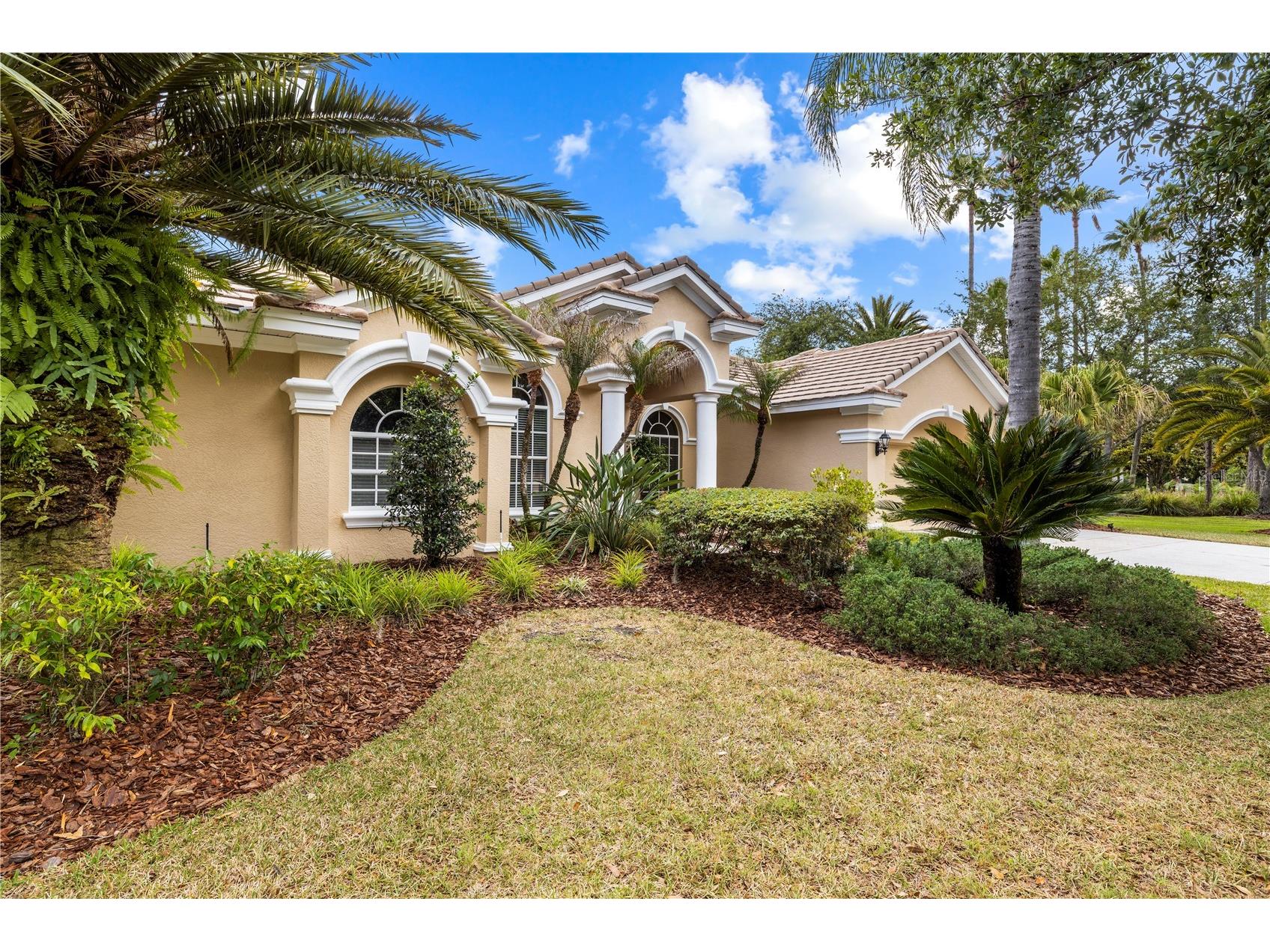 17206 Talence Court Tampa FL 33647 TB8502719 image73