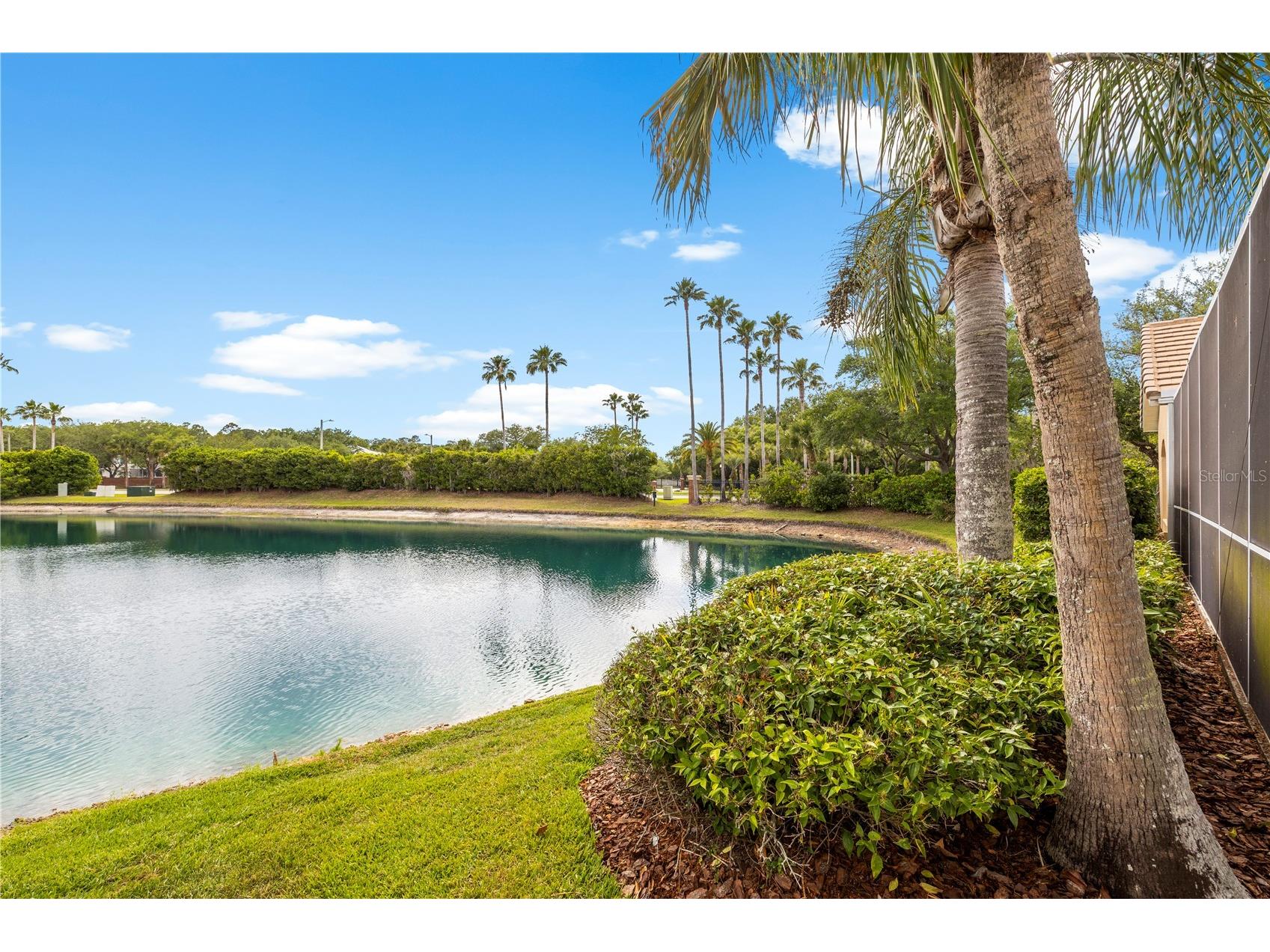 17206 Talence Court Tampa FL 33647 TB8502719 image87