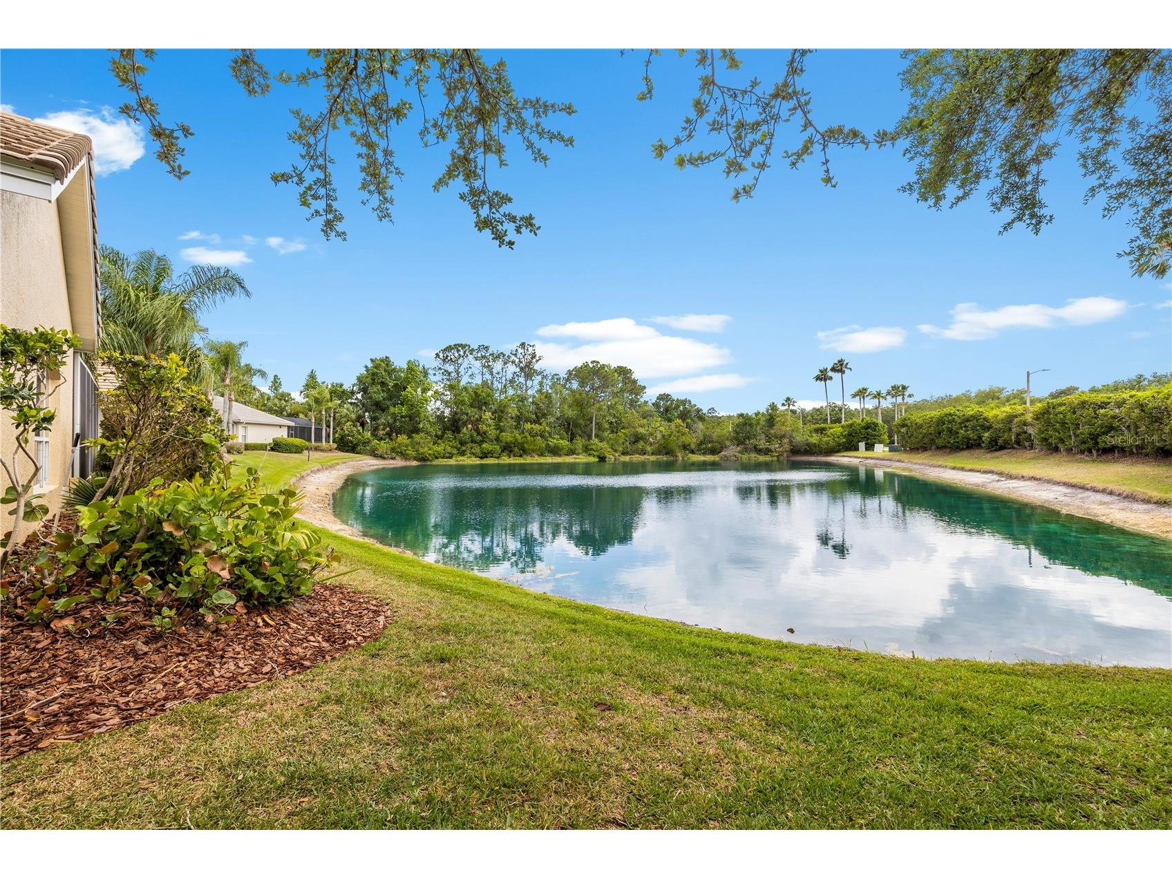 17206 Talence Court Tampa FL 33647 TB8502719 image88