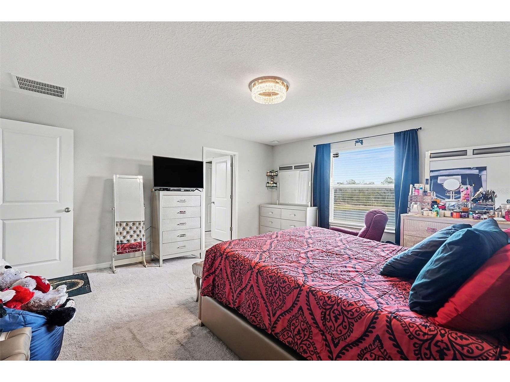 17206 White Mangrove Drive Wimauma FL 33598 TB8465113 image14