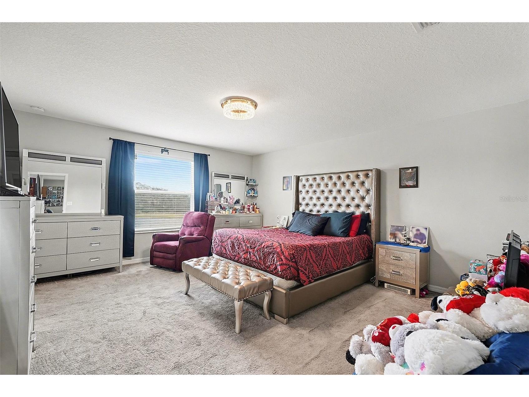 17206 White Mangrove Drive Wimauma FL 33598 TB8465113 image15