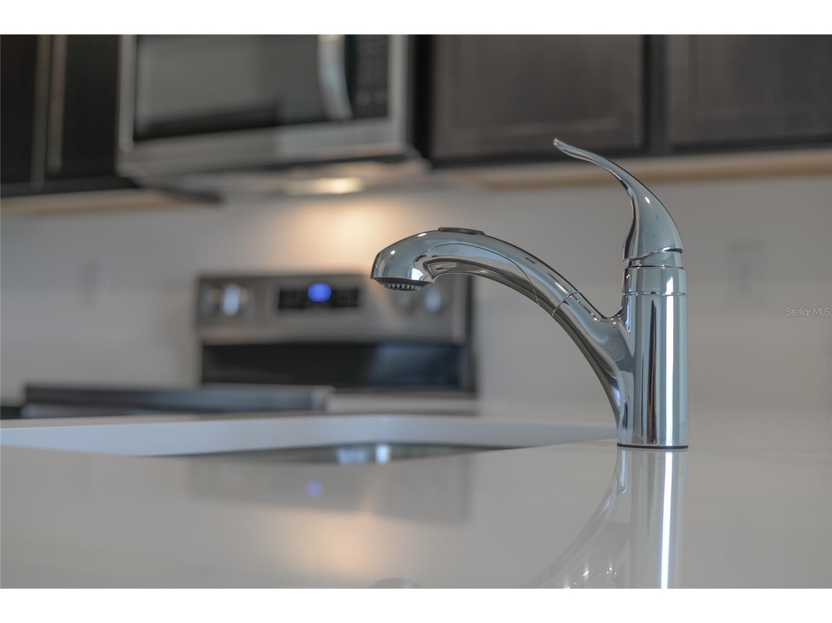 17208 English Chestnut Way Land O Lakes FL 34638 TB8492286 image11