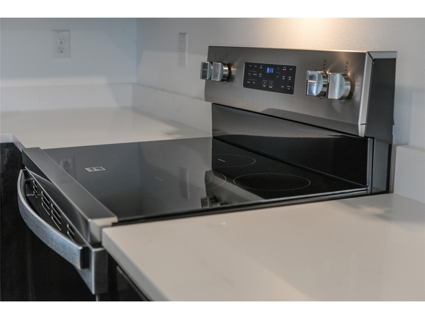 17208 English Chestnut Way Land O Lakes FL 34638 TB8492286 image13