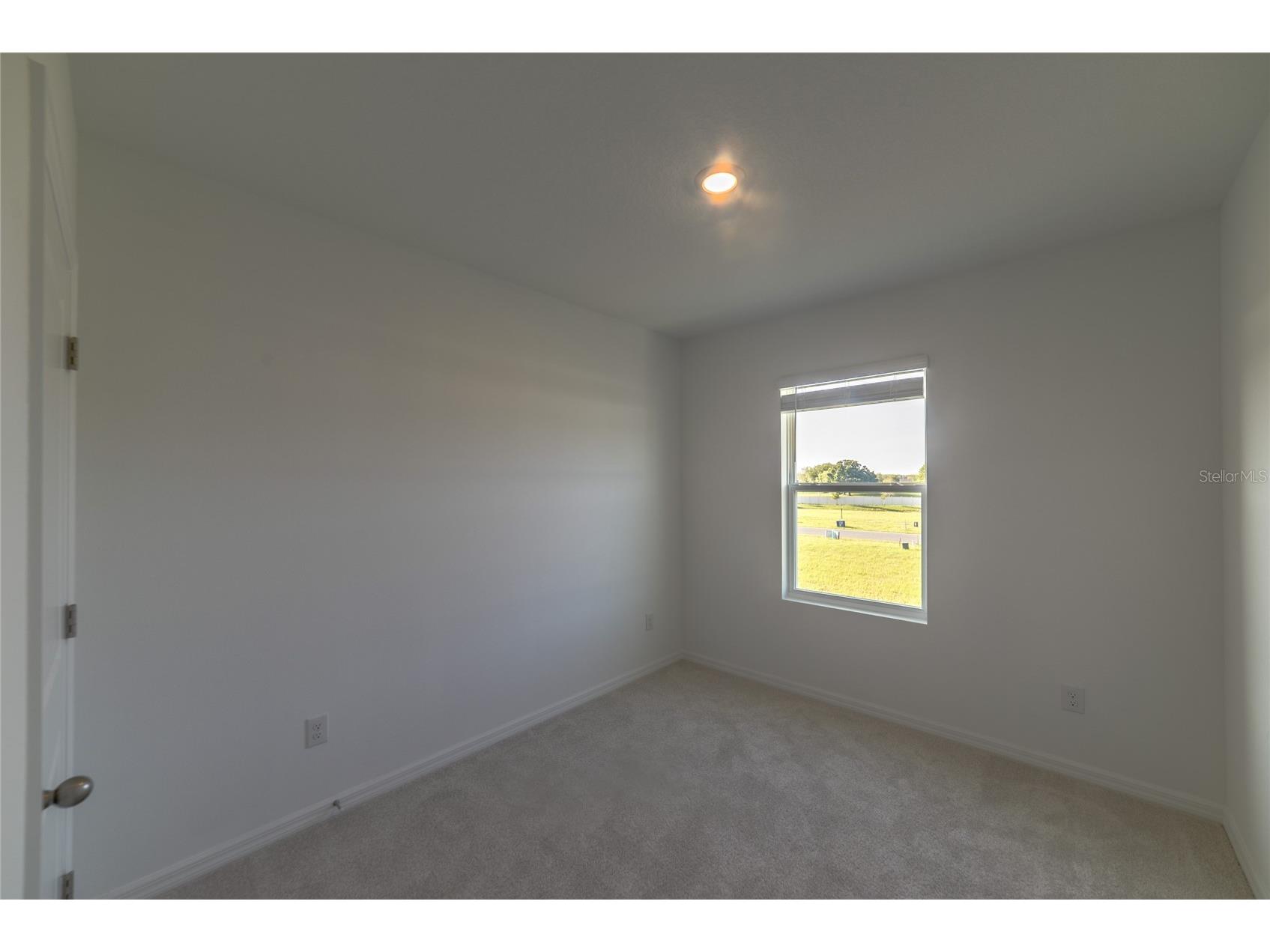 17208 English Chestnut Way Land O Lakes FL 34638 TB8492286 image24