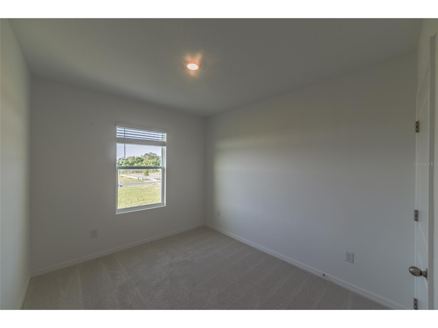 17208 English Chestnut Way Land O Lakes FL 34638 TB8492286 image26